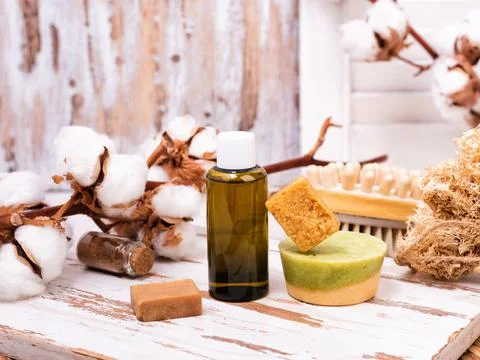 Solid bars of organic shampoo and bottle of shower gel. Stock Photos