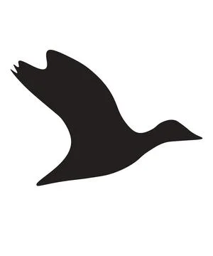 A solid black silhouette of a bird in flight facing right. Stock-Illustration