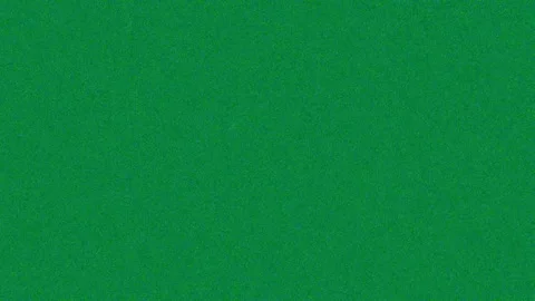 Solid Bright Green Abstract Background Texture for Minimalist Design Elements Stock Footage 342158084