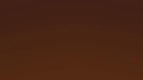 Solid brown background with speckles Stock Footage 310996499