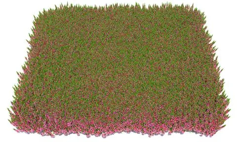 Solid carpet of green grass close-up Stock Illustration