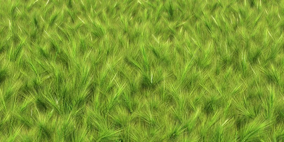 Solid carpet of green grass close-up Stockillustratie