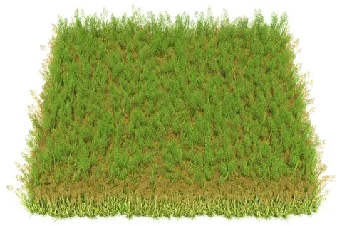 Solid carpet of green grass close-up Stockillustratie