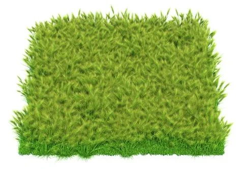 Solid carpet of green grass close-up Stockillustratie