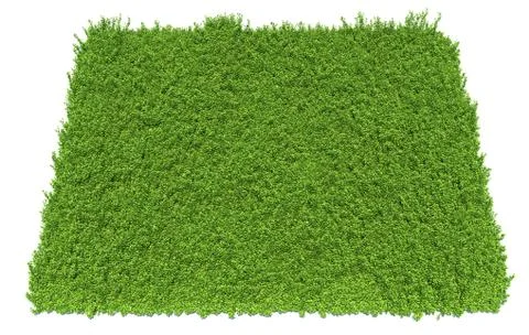 Solid carpet of green grass close-up Stockillustratie