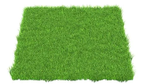 Solid carpet of green grass close-up Stockillustratie