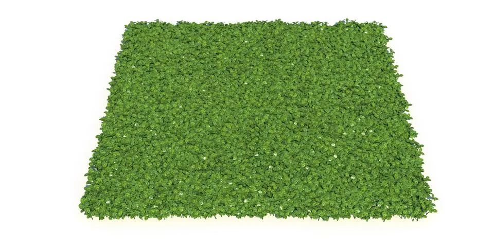 Solid carpet of green grass close-up Stockillustratie