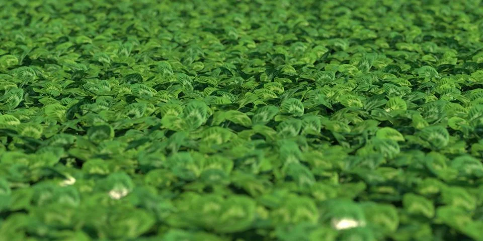 Solid carpet of green grass close-up Stock Illustration