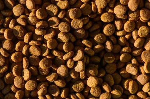 Solid cat food pellets suitable for a background 写真素材