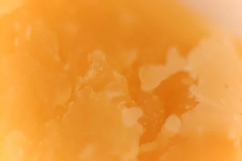 Solid Cheese macro closeup. Background Texture. Foto stock