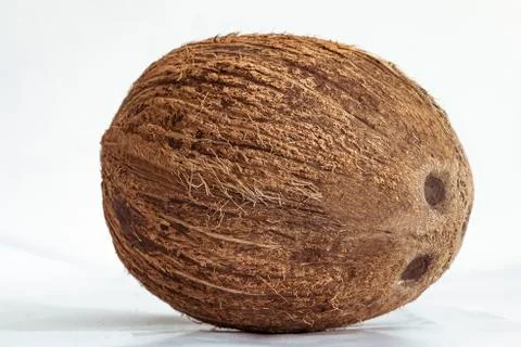 Solid coconut on a soft white glossy surface Stock Photos