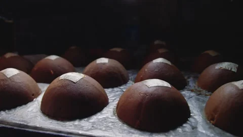 Solid coconut sugar blocks made from neera or coconut nectar sitting in rows Stock Footage 136133987