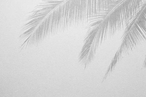 Solid concrete wall textured backdrop Stock Photos