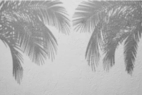 Solid concrete wall textured backdrop Stock Photos