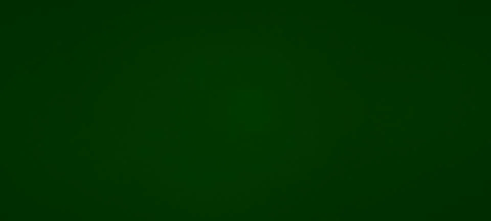 Solid Dark Green Background Illustrazione stock