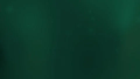 Solid dark green background with some white speckles Stock Footage 303398899