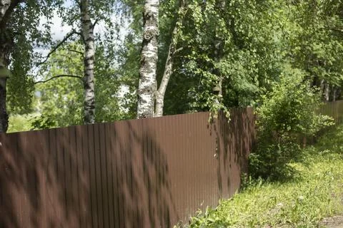 Solid fence in park. Private area in forest. Fenced area. Stock Photos