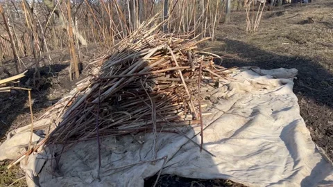 Solid fuel Stock Footage 171594521