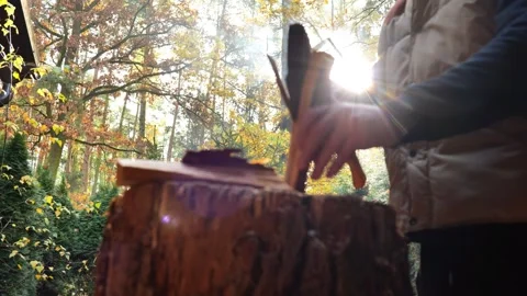 Solid  fuel.Preparing firewood for the heating season.man chopping firewood Stock Footage 320731946