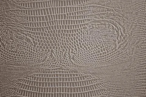 Solid gray texture. 스톡 사진