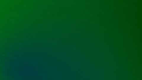 Solid green background. Stock Footage 301297900