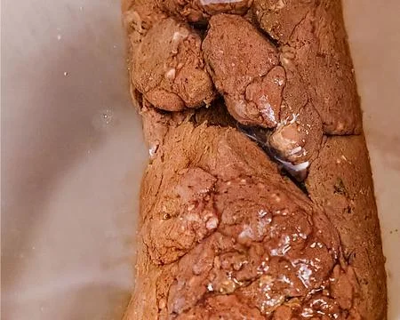 Solid human feces close-up Stock Photos