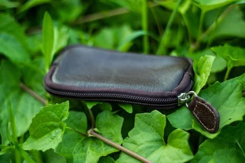 A solid leather black key bag showing on green grass Foto stock