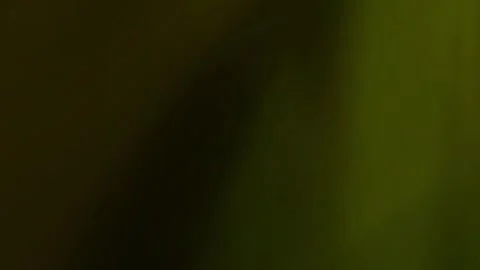 Solid lime green background perfect for chroma key compositing 動画素材 301046272