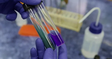 Solid media in test tubes. Stock Footage 289654776