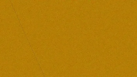 Solid Mustard Yellow Seamless Abstract Color Background for Studio Use Stock Footage 342160905