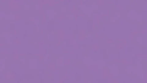 Solid, muted grey-green background for design inspiration. Stock Footage 301507751