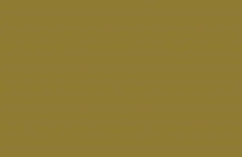 Solid muted olive green background, with a subtle, woven texture pattern 库存插图
