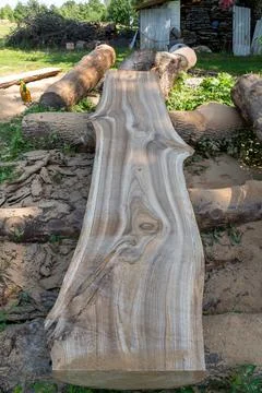 Solid oak beam from which wide boards will be cut. Stock Photos