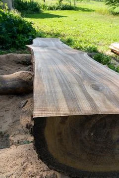 Solid oak beam from which wide boards will be cut. Stock Photos