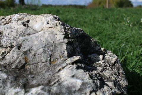 Solid rock on the field Stock Photos