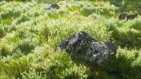 Solid rock in the middle of green ground Ilustración de archivo