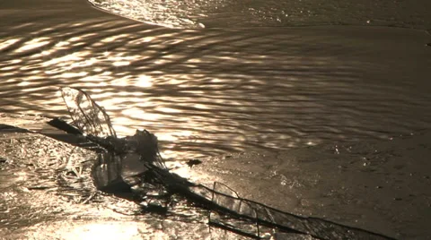 Solid sea Stock Footage 32755675