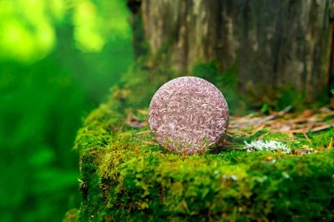 Solid shampoo with the smell of earth forest roots Foto stock