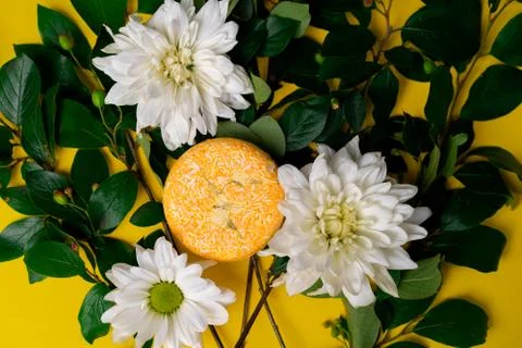 Solid shampoo with the smell of flowers Stock Photos