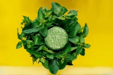 Solid shampoo with the smell of mint on a bright background yellow Stock Photos