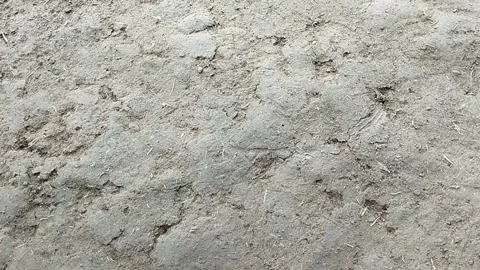 Solid soil in the garden Stock Footage 212812122