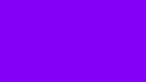 Solid vibrant purple background for design purposes Stock Footage 309919052