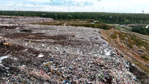 Solid waste disposal on landfill. Landfill with solid household waste. Vidéo 218459045