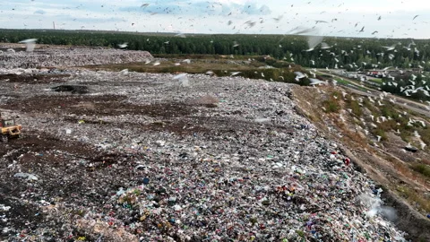 Solid waste disposal on landfill. Landfill with solid household waste. Stock-Footage 218459564
