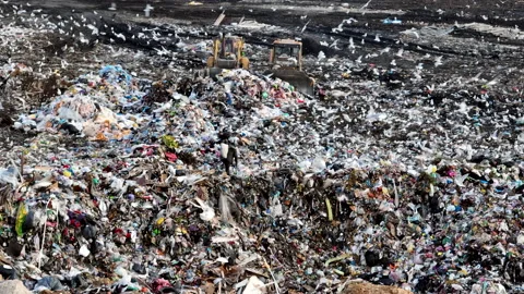 Solid waste disposal on landfill. Landfill with solid household waste. Stock-Footage 218505409