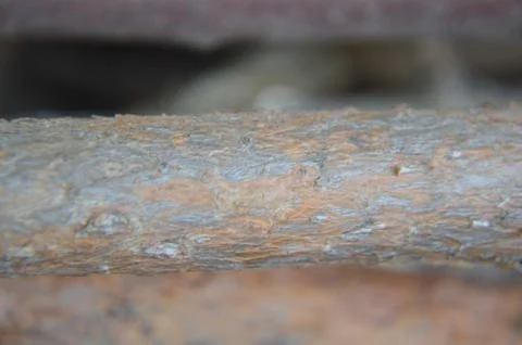 Solid wood and processed lumber surface textures Stock Photos