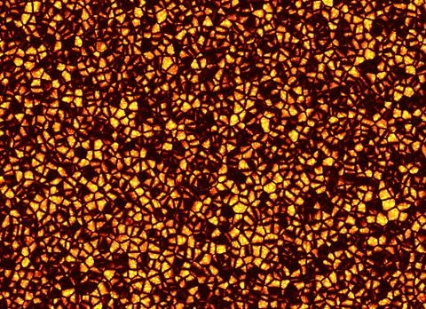 Solidified hot coal fire texture Stock Illustration