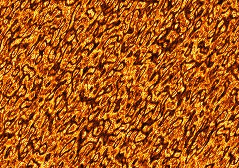 Solidified hot lava fire texture Illustrazione stock