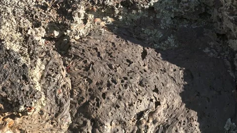 Solidified lava rocks form rugged volcanic terrain - Lava Bed and Hardened Magma Video stock 339823464