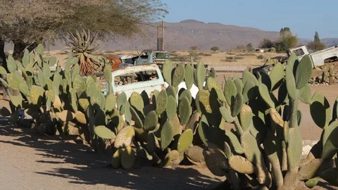 Solitaire, little settlement in namibia, cactus and old car, Africa in 4K Stock Footage 91194280
